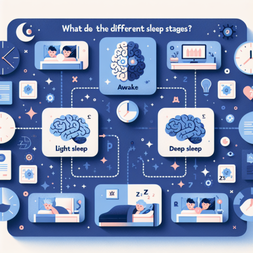 what are the different sleep stages